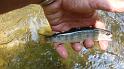 5-30 fish3